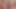 Suck and Bit Daddy’s Cock. Pov